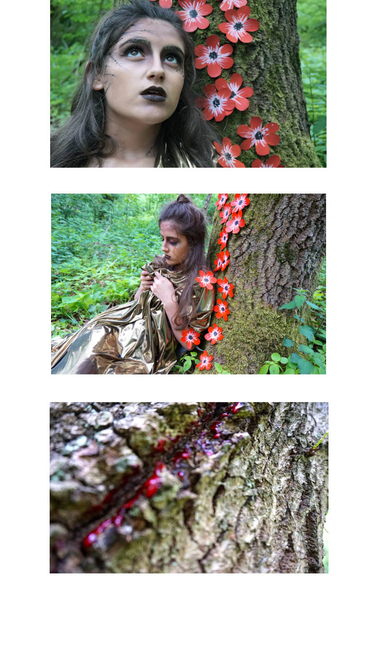 IMG_0613